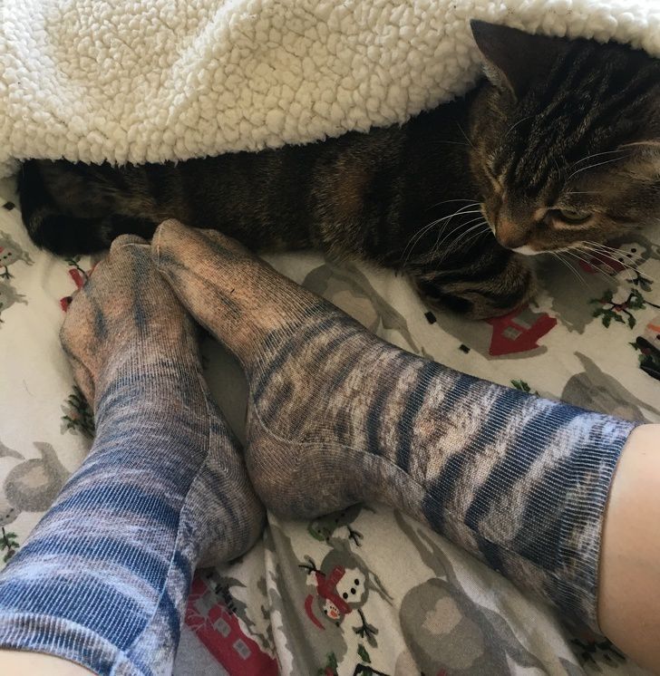 Знайомтеся, хіт сезону нинішньої зими — шкарпетки з принтами а-ля котячі лапки. Причому фотореалістичні!