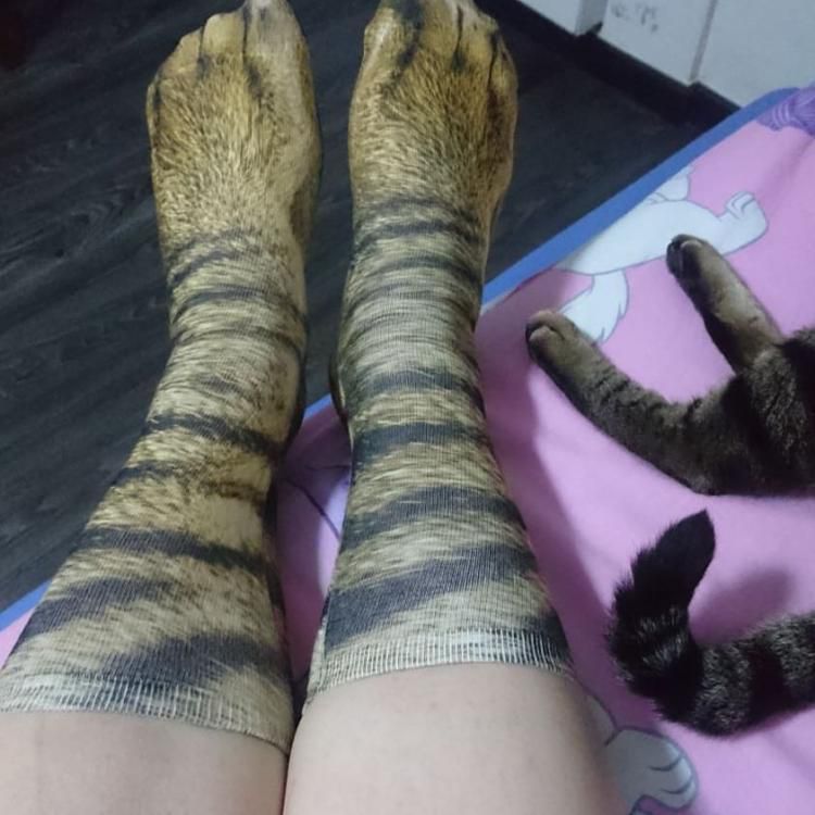 Знайомтеся, хіт сезону нинішньої зими — шкарпетки з принтами а-ля котячі лапки. Причому фотореалістичні!