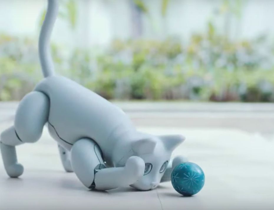 Китайська компанія створила кішку-робота для людей з алергією. За даними виробника, робот має 16 моторизованих суглобів, які забезпечують йому автономне пересування.