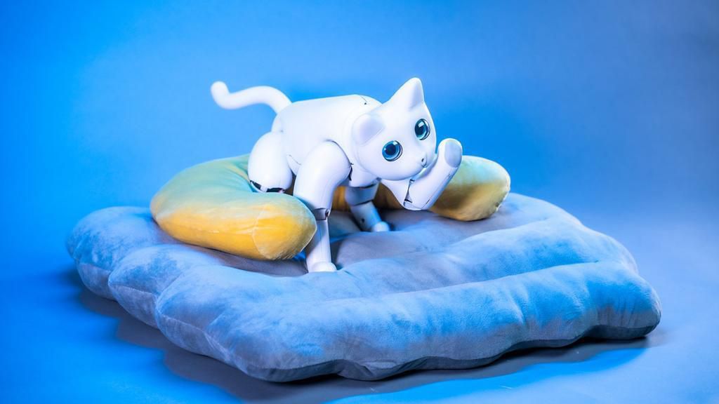 Біонічний кіт-робот, реагує на дотики та може гратись з іграшками, наче справжня тварина. Проте, біонічна домашня кішечка стане хорошою альтернативою для багатьох людей.