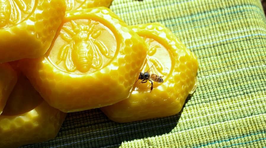 Кілька способів використання бджолиного воску на дачі. Навіть бджолиному воску можна знайти застосування на дачі.