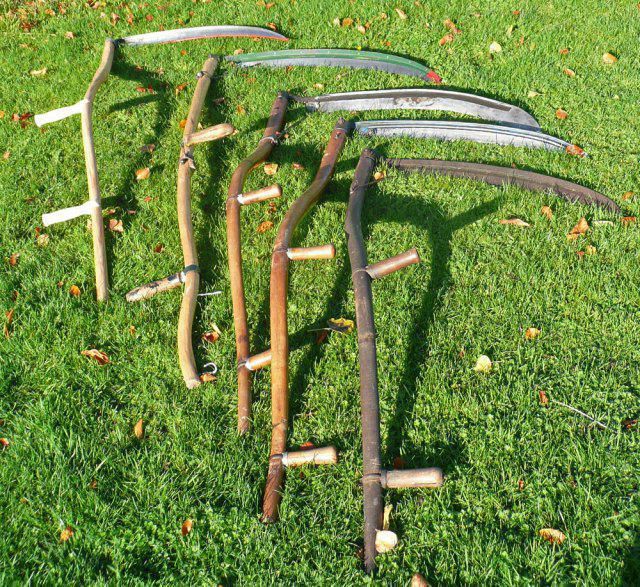 Інвентар дачника: 9 садових інструментів, без яких можна спокійно обійтися на дачі. Корисна інформація для дачників і садівників.