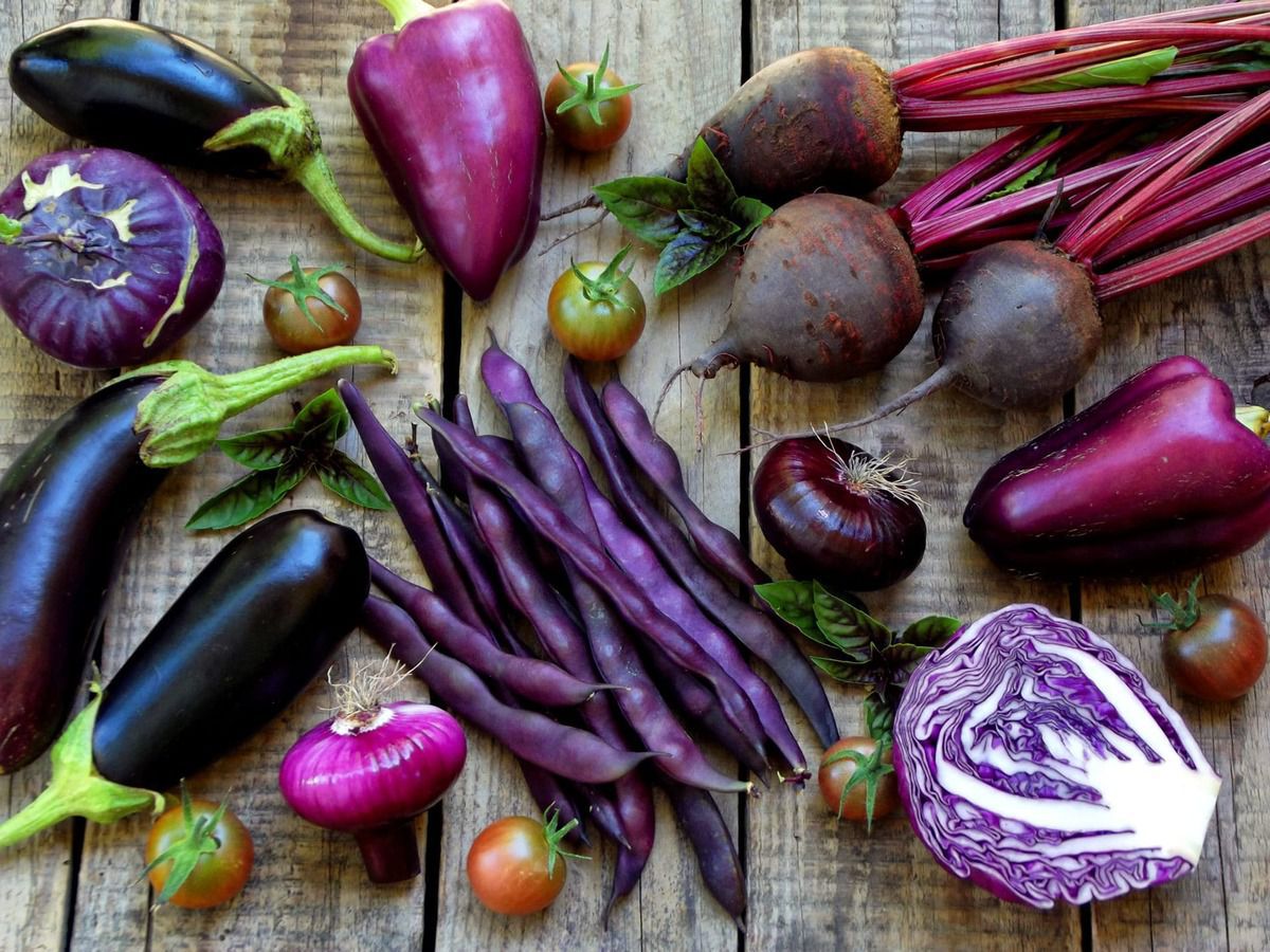 Диво на вашій грядці: 6 овочів фіолетового кольору для вашого городу. Дивовижні рослини, які перетворять ваші грядки в витвір мистецтва.