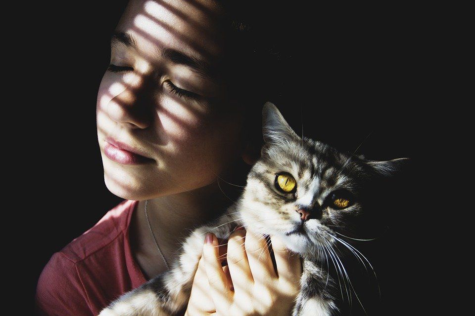 Чи дійсно кішкам подобається проводити час з людьми? Теза про «егоїстичність» кішок дещо перебільшена. Ці домашні тварини нерідко віддають перевагу соціальній взаємодії.
