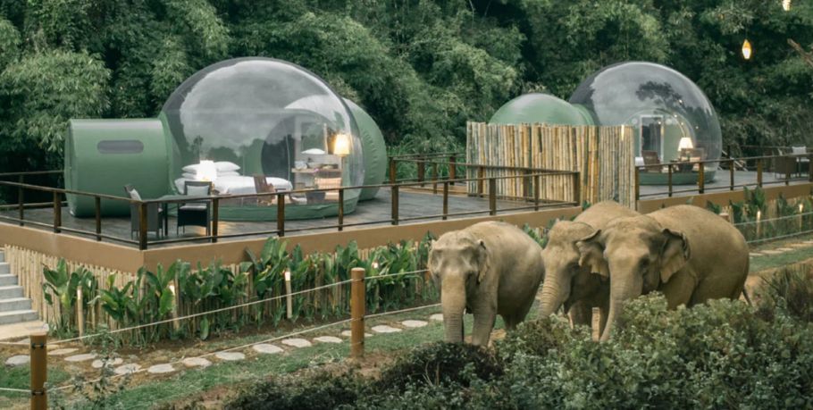Під відкритим небом: у Таїланді відкрили готель з прозорим куполом. В ньому можна спати зі слонами.