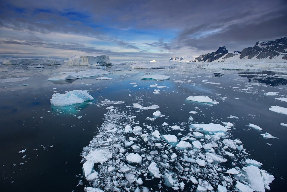Антарктида вже почала цвісти, там вже розпочинається антарктичне літо. Навколо Антарктиди багато зелені.