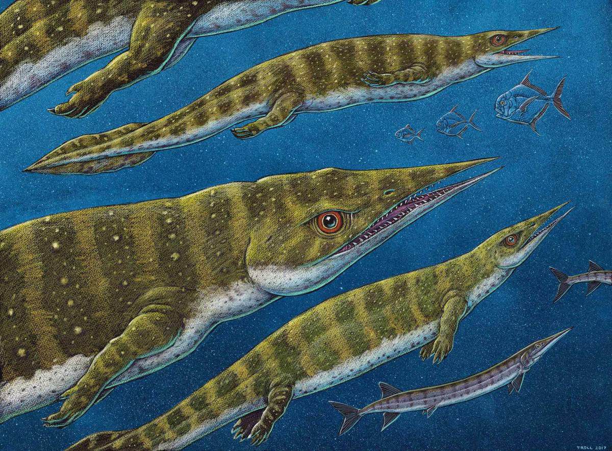 Відкритий ще один вид рептилій, що існували на зорі появи динозаврів. Американські дослідники ідентифікували досить велику рептилію, яка жила приблизно 200 мільйонів років тому і відноситься до талаттозаврів.