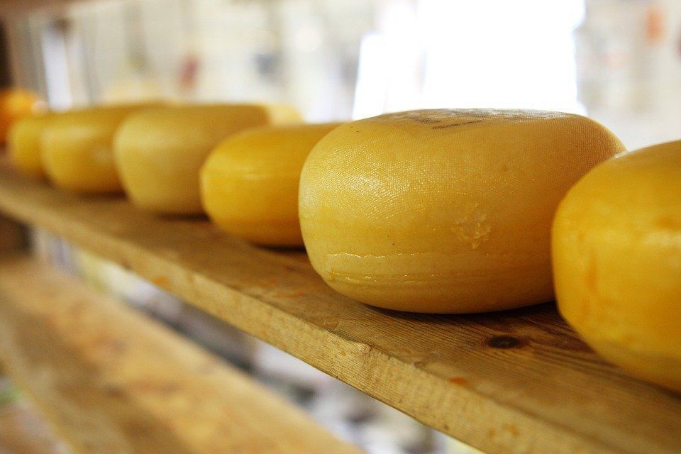 Вчені вияснили, коли люди почали їсти сир. Перший сир почали робити понад десять тисяч років тому.