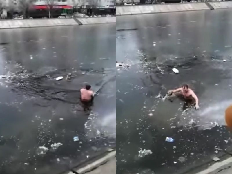 Чоловік кинувся в крижану воду, щоб врятувати дворняжку. Собака не змогла виплисти самостійно.