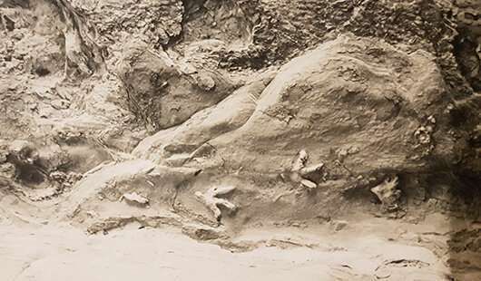 Відбитки лап якогось чотирилапого динозавра, які спантеличили палеонтологів понад 60 років тому, виявилися не тим, чим передбачалося спочатку. Дослідники розгадали таємницю дивних слідів гігантської істоти в печері.