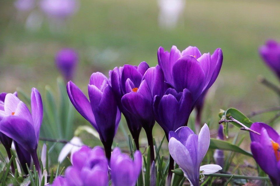 День весняного рівнодення 2020 року та пов'язані з ним прикмети та традиції. У 2020 році весняне рівнодення намічено на 20 березня.