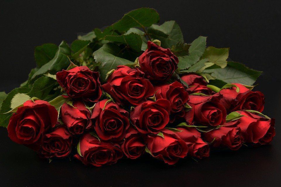 Кому не варто дарувати букет з червоних квітів і чим їх можна замінити. Люди, яким не слід дарувати червоні квіти.