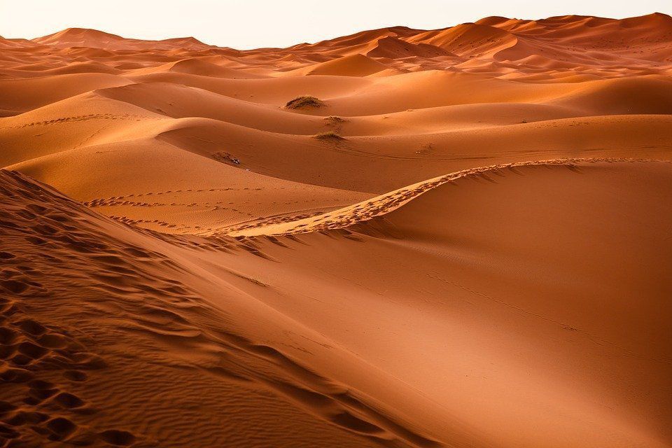 Вченими встановлена товщина шару піску в пустелях. Пустелі займають близько 20 відсотків від усієї суші нашої планети.