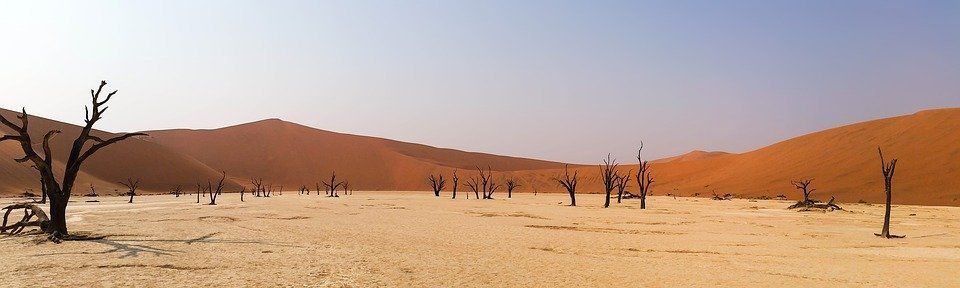Вченими встановлена товщина шару піску в пустелях. Пустелі займають близько 20 відсотків від усієї суші нашої планети.
