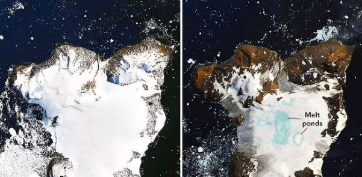 Вчені зафіксували катастрофічне танення льоду на антарктичному острові Голок. Аномальна температура в Антарктиді викликала катастрофічне танення льоду.