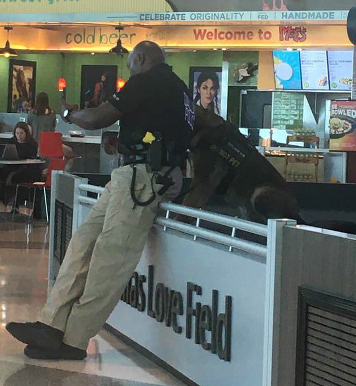 Поліцейський в аеропорту разом зі службовою вівчаркою робив селфі і давав собаці оцінювати результат. Люди в захваті від кадрів!