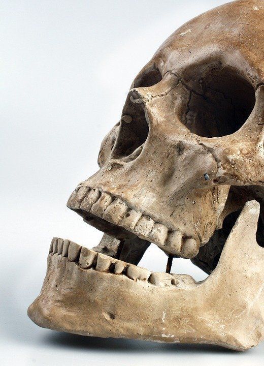 Зубний камінь допоміг біологам вивчити звички середньовічних японців. А заразом дізналися, що ті курили і чим торгували.