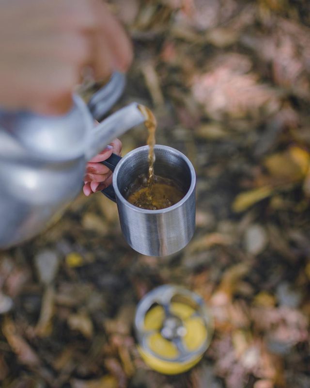 Вчені розповіли, як неправильне заварювання чаю може перетворити напій в отруту. Як перетворити чай в отруту.