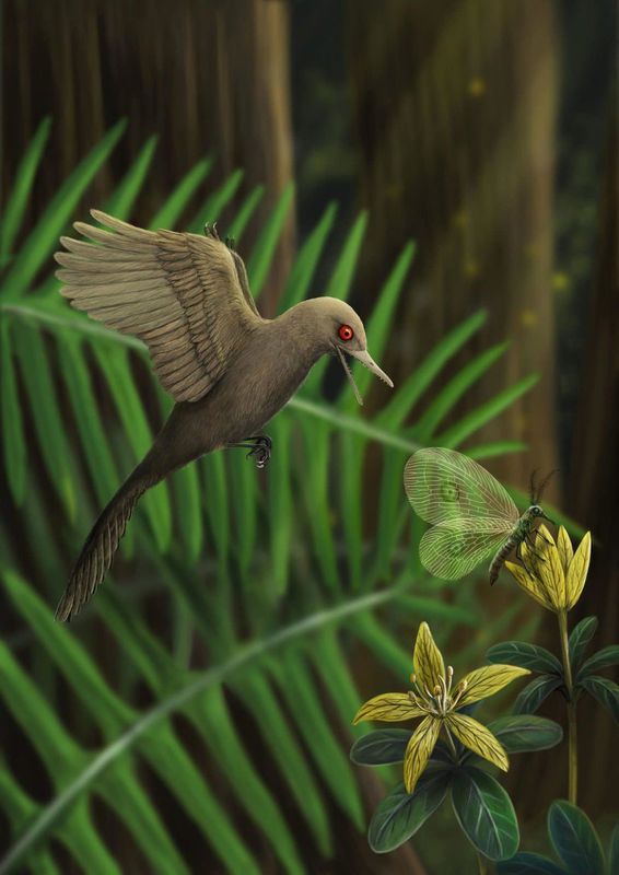 Палеонтологи виявили найменшого з відомих на цей момент динозаврів. І зробили його 3D-модель: вийшло досить дивне поєднання голуба та крокодила.