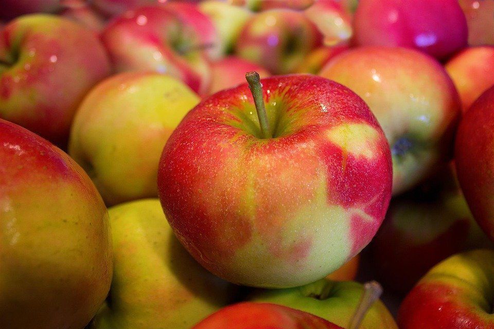 Американські вчені назвали спосіб миття яблук, який прибирає мікроби та пестициди. Спосіб, який допоможе очистити плоди від пестицидів.