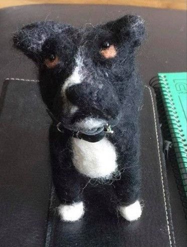 Британка замовила іграшку у вигляді своєї собаки, але результат розсмішив не тільки господиню собаки, але і її гостей. Результат виявився далекий від оригінала.