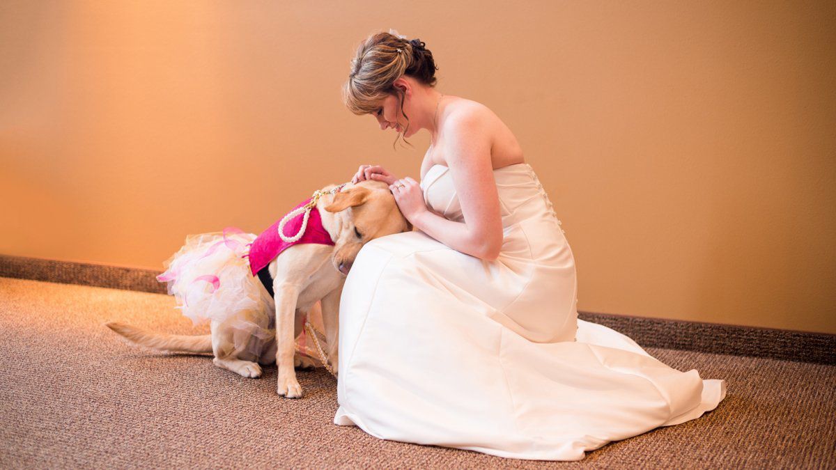 Виявляється, є собачка, яка не залишає свою господиню навіть в день її одруження. Весілля, яке б не відбулося без собаки.