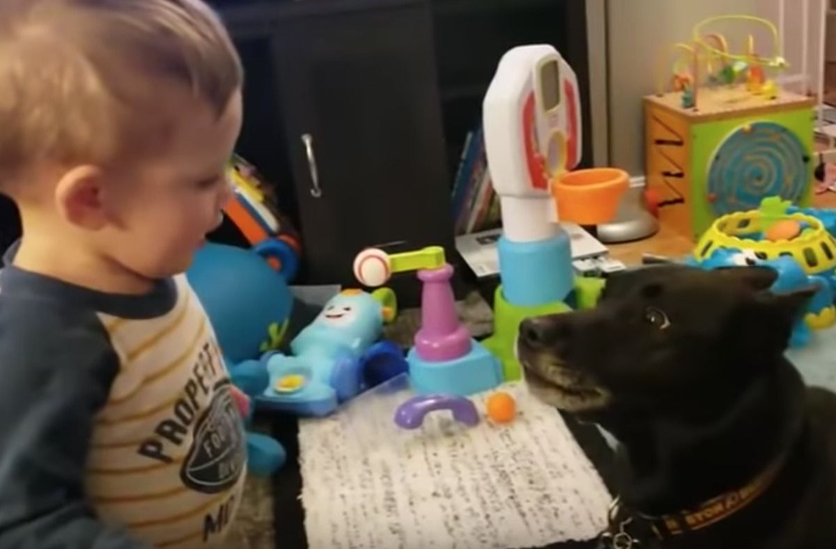 Здається, вони знайшли спільну мову — "розмова" між малюком і його собакою. Мама записала діалог на відео.