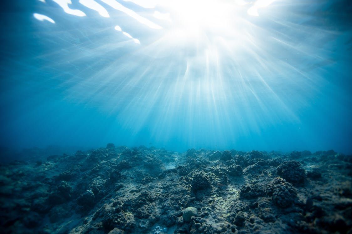 Під дном океану виявили стільки ж бактерій, скільки в нашому кишківнику: результати дослідження. Такі висновки зробили вчені з Токійського університету.