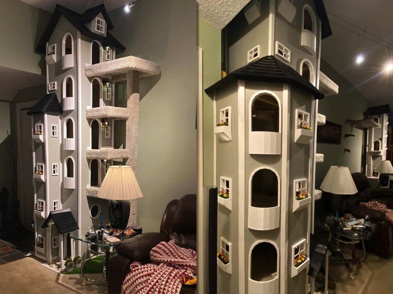 Господар побудував 2 вежі для кішки — і тепер люди мріють їх купити. Краще ніж у деяких людей!
