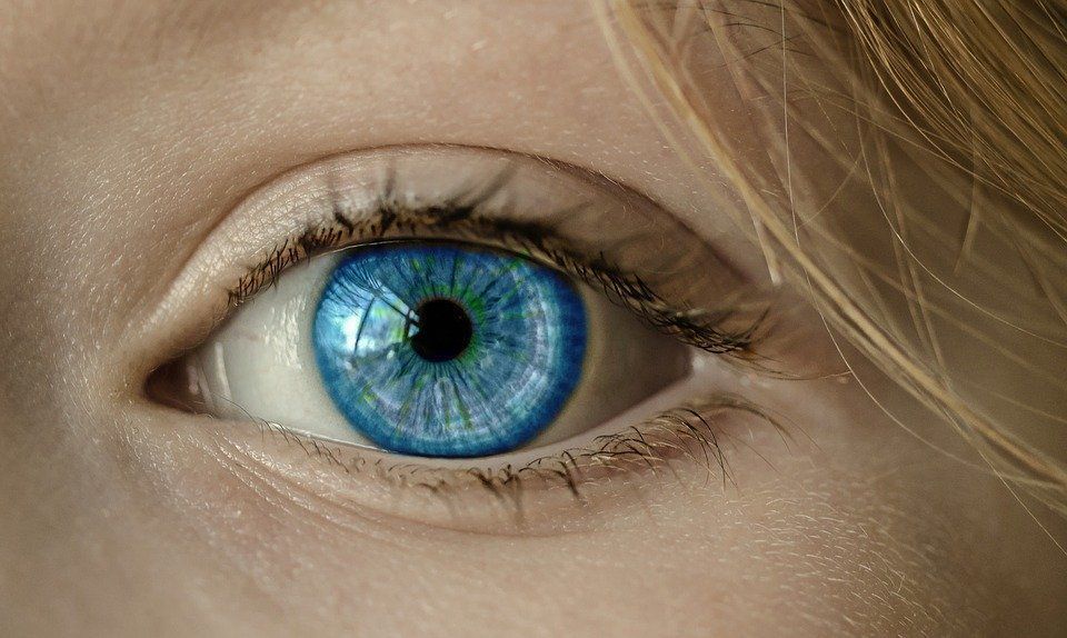 9 неймовірних фактів про очі та зір, які вас точно здивують. Це важливо дізнатися кожному.