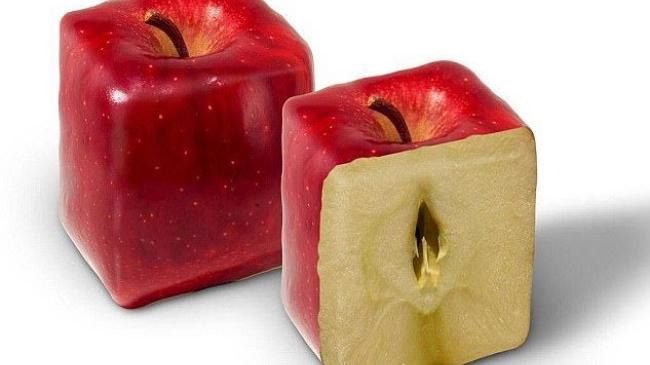 Квадратні яблука: як їх вирощують і навіщо це потрібно. Будь-який фрукт незвичайної форми привертає увагу людей.