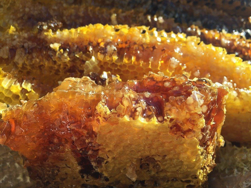 Основні причини, чому вегани відмовляються вживати мед. Чому веганам заборонено їсти мед.