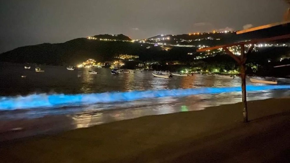 Води в Акапулько вперше за 60 років засвітилися блакитним кольором. Жителі впевнені, що це результат карантину.