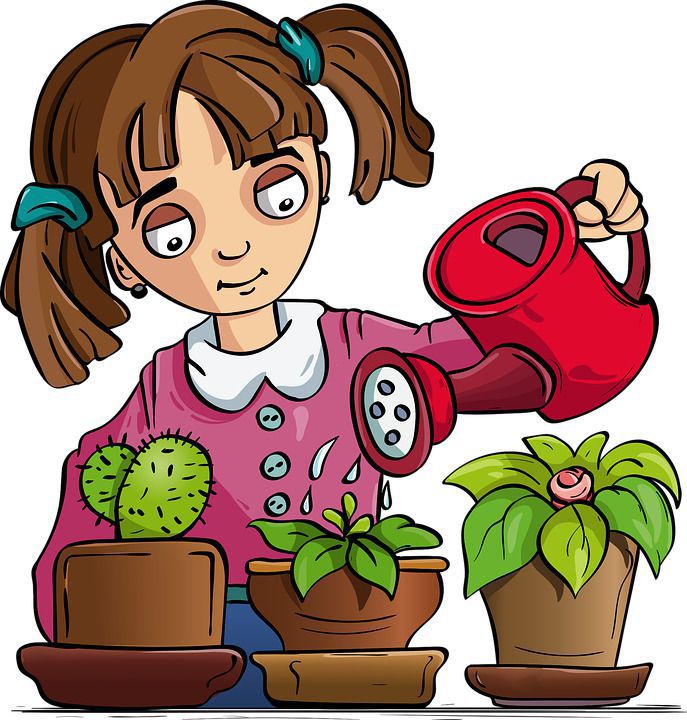 Чим краще за все поливати кімнатні рослини та як пом'якшити водопровідну воду. Як поливати квіти, якщо вдома жорстка вода.