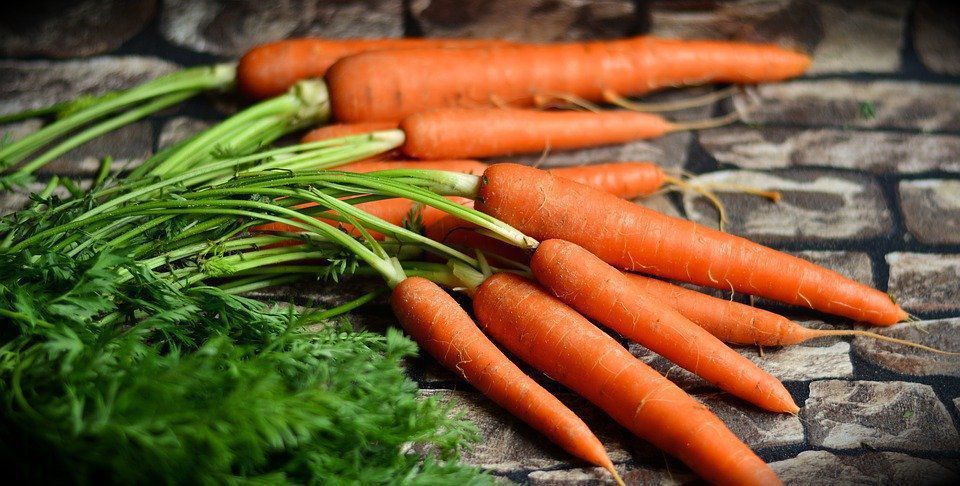 Чому морква повинна бути в раціоні кожної людини щодня. В чому головна перевага моркви.