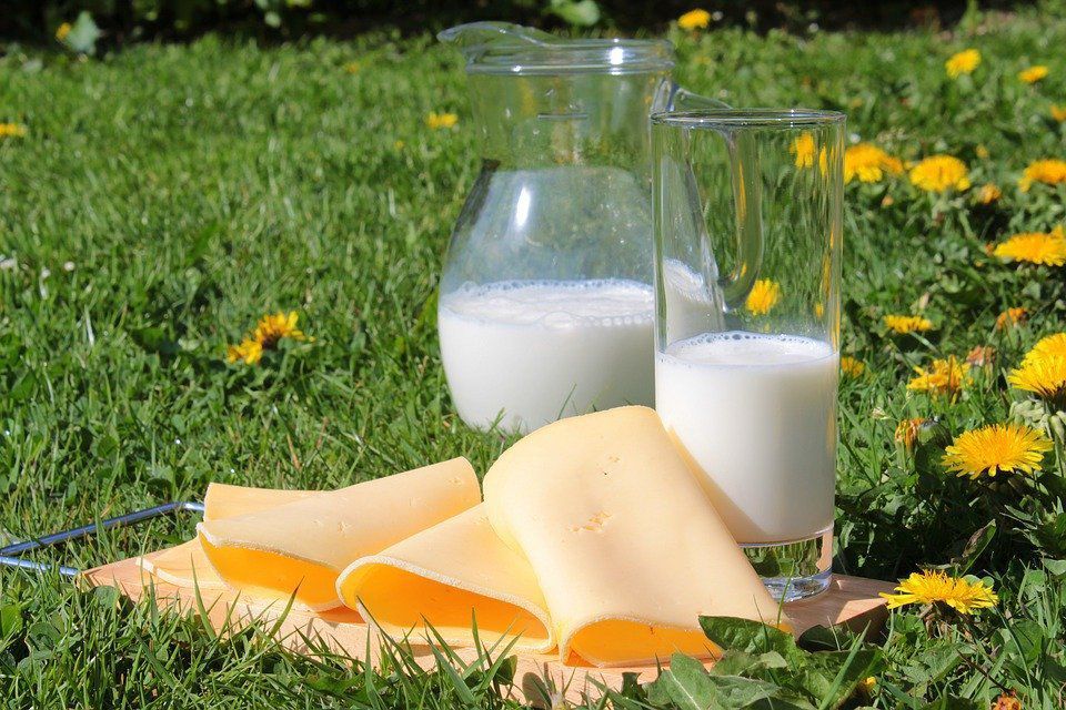 Вчені встановили щоденну корисну порцію молочних продуктів. Це знизить ризик розвитку гіпертонії, діабету і ожиріння.