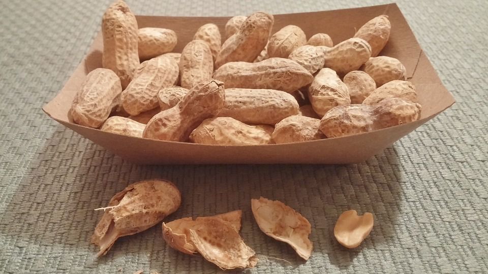 Вчені виявили зв'язок між споживанням арахісу і зниженням серцево-судинних захворювань. Досить з'їдати всього лише жменю горіхів щоденно.