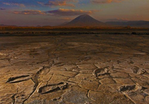 Сотні скам'янілих людських слідів знайдені в Танзанії. Сліди належали кільком групам людей, що рухалися в різних напрямках.