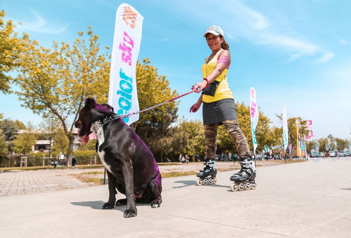 Фітнес з тваринами: 5 способів перетворити прогулянку з собакою на ефективне тренування. Поєднуємо приємне з корисним.