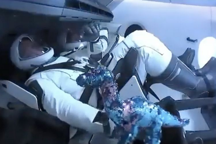 SpaceX відправила в космос не тільки двох людей, а й іграшкового динозаврика — і тепер всі хочуть собі таку іграшку. На борту космічного корабля SpaceX Crew Dragon виявили «третього члена екіпажу».