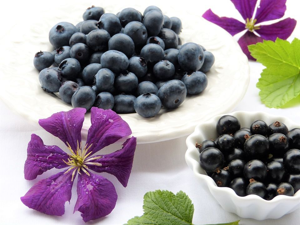 Які ягоди вважаються найкориснішими для підвищення імунітету. Поповніть свій запах вітамінів і мікроелементів цього літа.