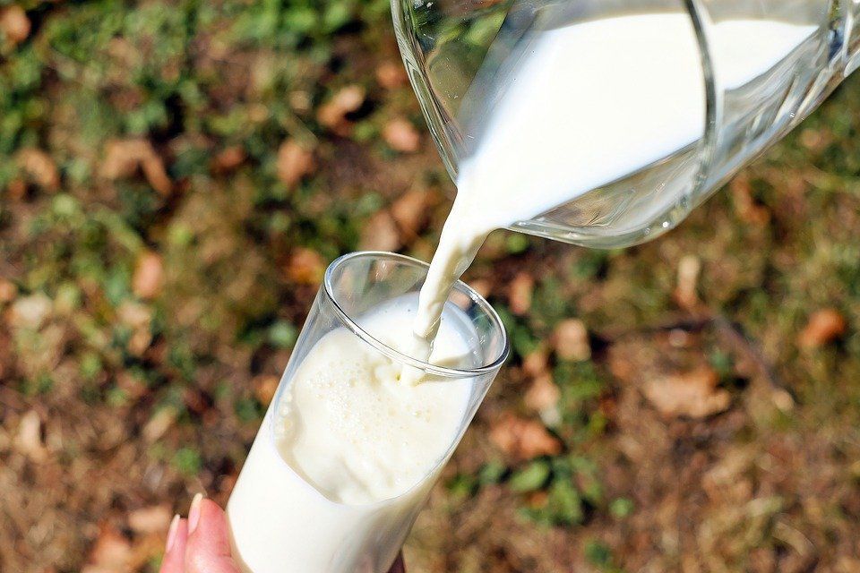 Чи можна позбутися зайвих кілограмів за допомогою знежирених молочних продуктів. Чи правда, що на знежиреному кефірі, йогурті, молоці можна схуднути.