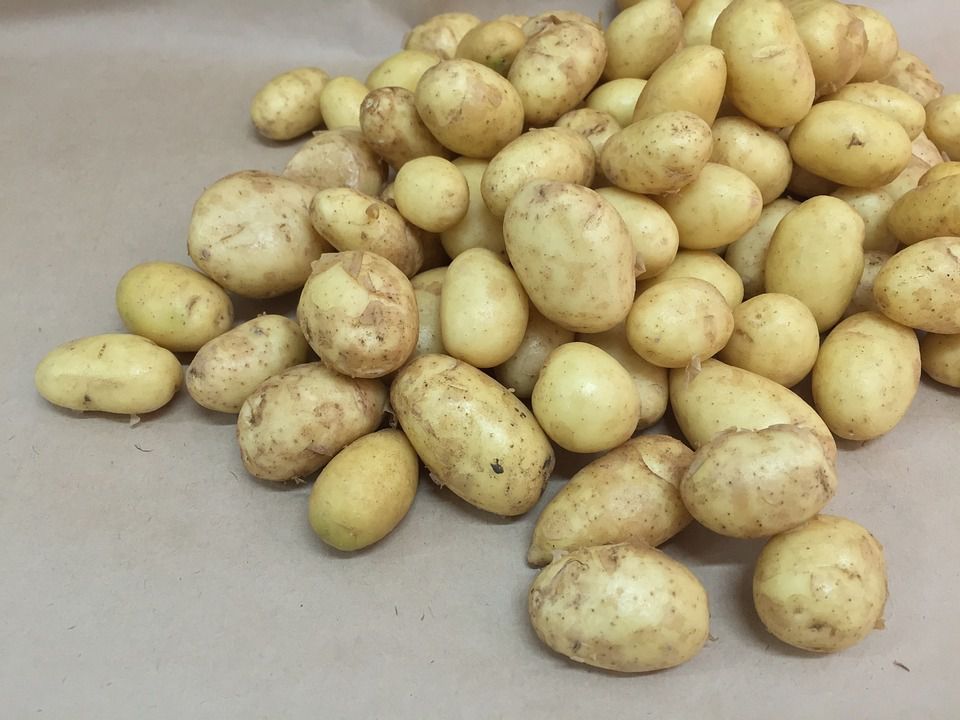 Як правильно приготувати молоду картоплю та інші секрети коренеплоду. Помилки під час варіння молодої картоплі.
