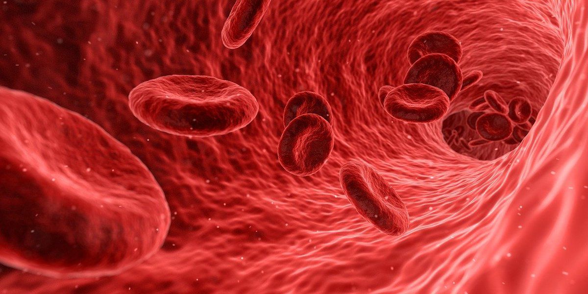 Вчені розповіли, як характер людини пов'язаний з групою крові. Деякі фахівці вважають, що кров може розповісти не лише про медичні характеристики, але і визначити характер людини.