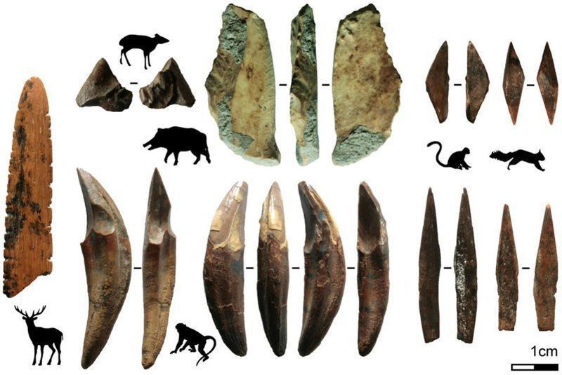 На Шрі-Ланці знайшли наконечники стріл віком 48 000 років. Це найдавніші подібні артефакти за межами Африки.