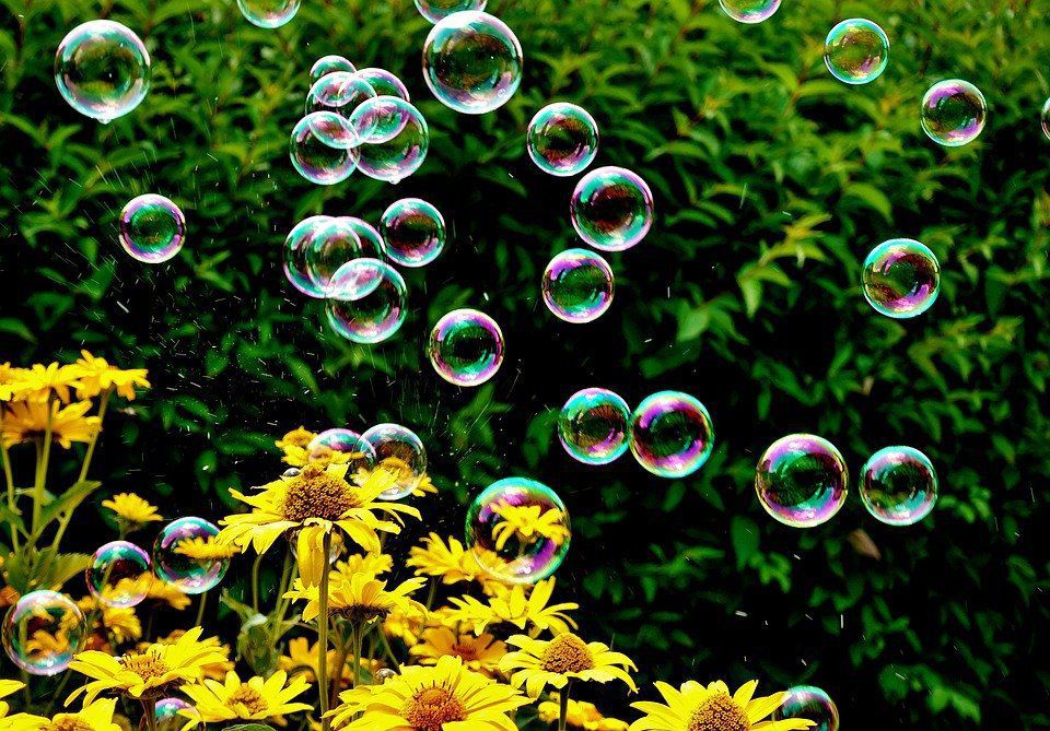 Японці винайшли спосіб запилювати квіти за допомогою мильних бульбашок. Мильні бульбашки замінили бджіл у запиленні рослин.