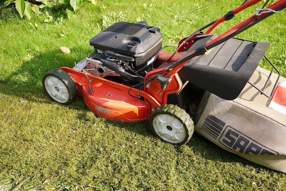 10 простих правил, які допоможуть гарно підстригти газон. Газон треба стригти правильно.