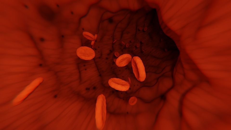 Виявлена нова властивість тромбоцитів перешкоджати поширенню пухлин в організмі. Вони роблять стінки деяких здорових судин непроникними.