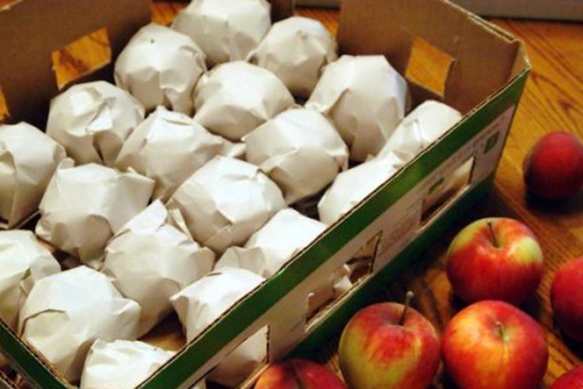 7 важливих порад, як зберегти урожай яблук. Як зберегти це вітамінне багатство до наступного врожаю.