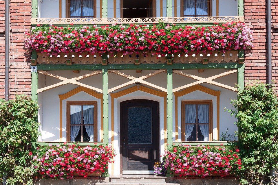 Що можна зробити, щоб рослини на балконі пишно і довго квітнули. Поради для пишного цвітіння рослин на балконі.